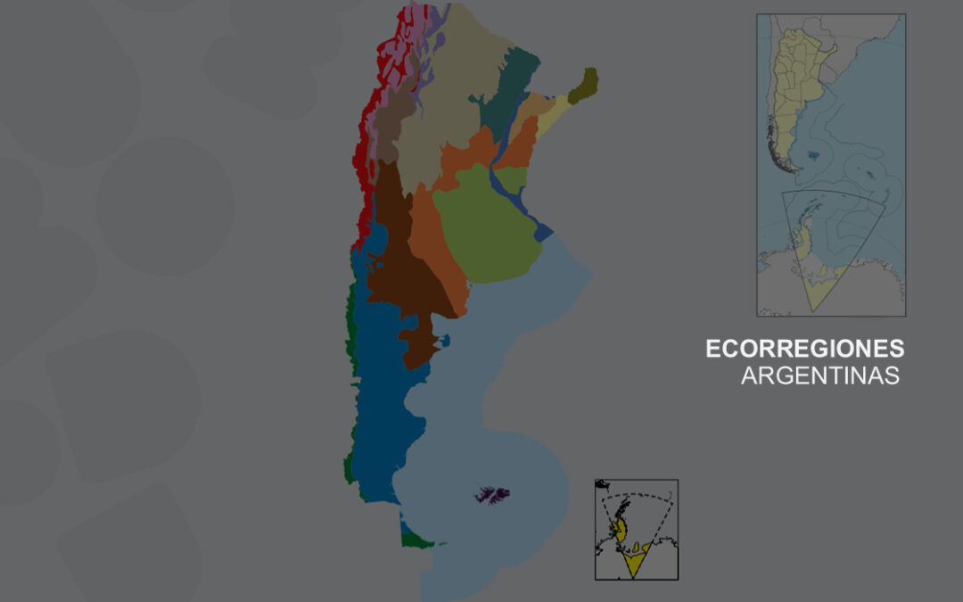 Ecosistema de Formación, Acción y Comunicación Ambiental